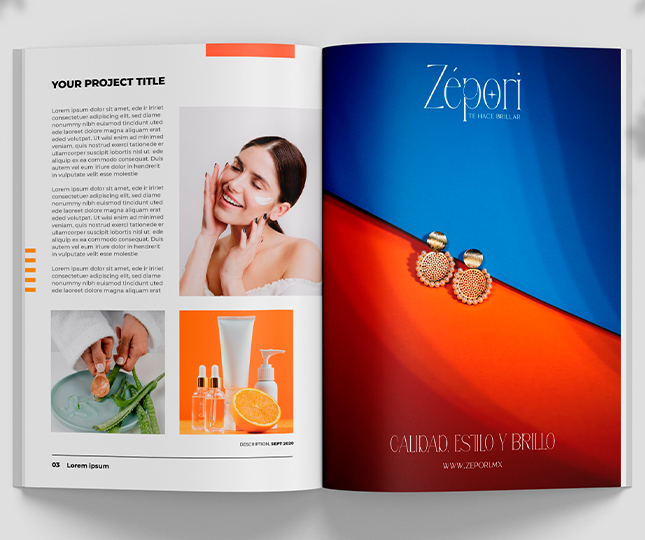 Revista